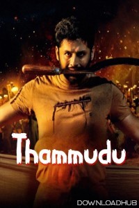 Thammudu (2025) HQ Hindi Dubbed Movie